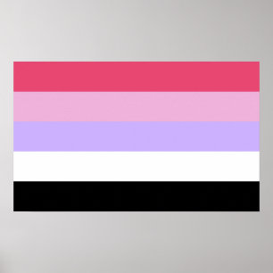 Reciprosexual Pride Poster