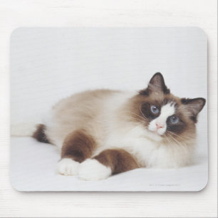 Reclining Cat Mouse Mat