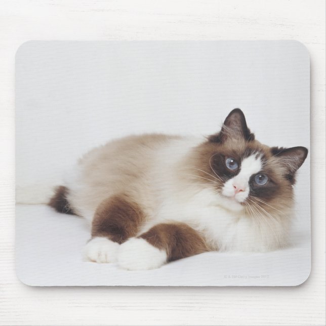 Reclining Cat Mouse Mat (Front)