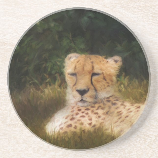 Reclining Cheetah at Fossil Rim Wildlife Centre Coaster (Front)
