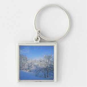Record snow in Louisville, Kentucky. Key Ring