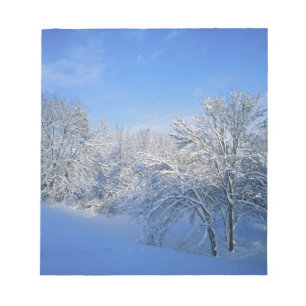 Record snow in Louisville, Kentucky. Notepad