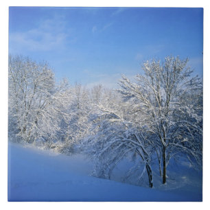 Record snow in Louisville, Kentucky. Tile