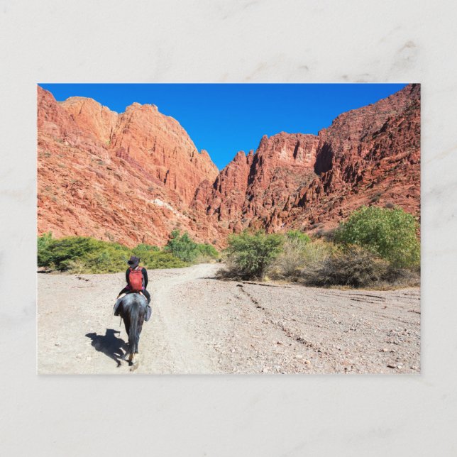 Recorriendo los valles de Tupiza, Bolivia. Postcard (Front)
