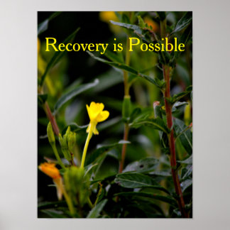 Recovery Motivational Poster