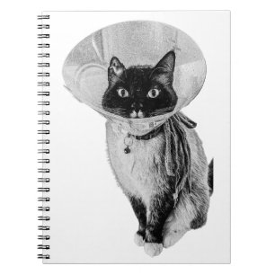 Recovery Notes Notebook