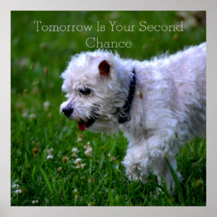 Recovery  Tomorrow Poster