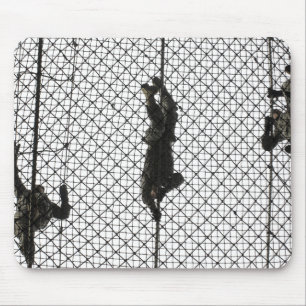 recruits completing an obstacle mouse mat