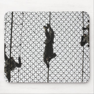 recruits completing an obstacle mouse mat