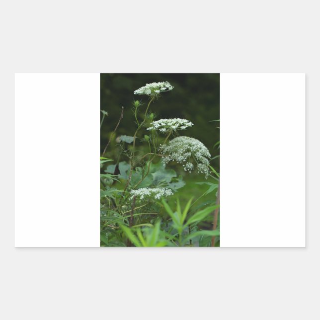 rectangular sticker template (Front)