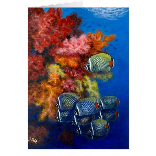 Reculated BBF with soft corals (Front)