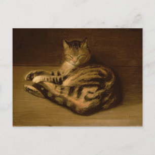 Recumbent Cat, 1898 Postcard