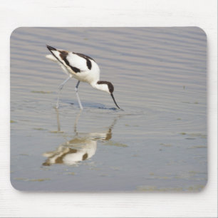 Recurvirostra avosetta mouse mat