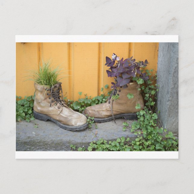 Recycled Boots Make Good Planters Postcard (Front)