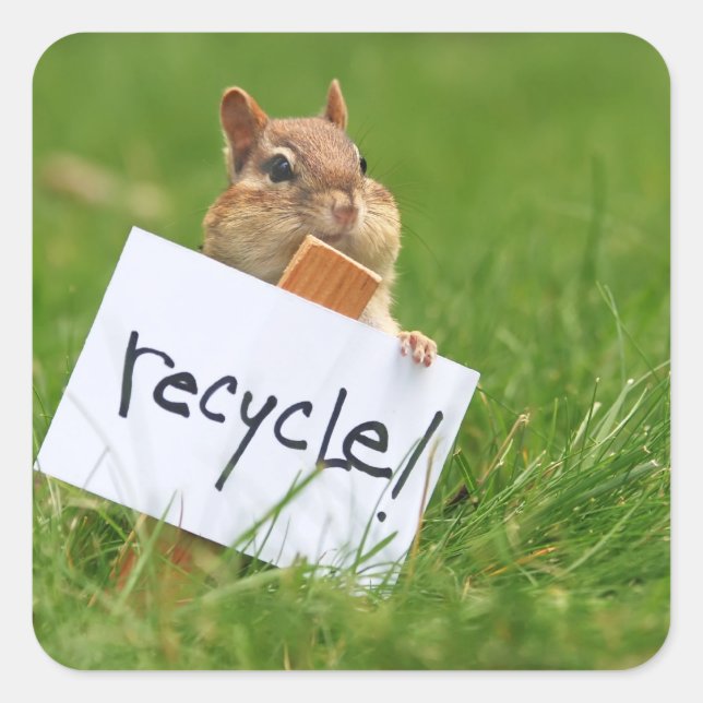recycling chipmunk square sticker (Front)
