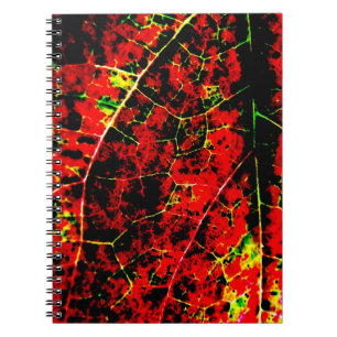 Red Abstract Notebook