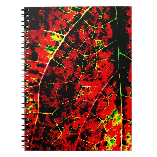Red Abstract Notebook (Front)