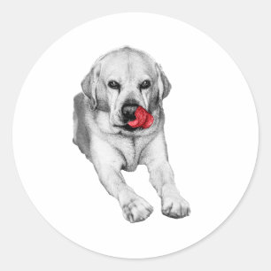 Red accent Lab smile Classic Round Sticker