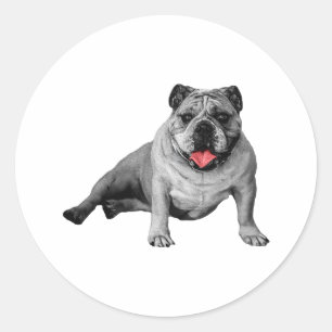 Red Accented Bulldog Sticker