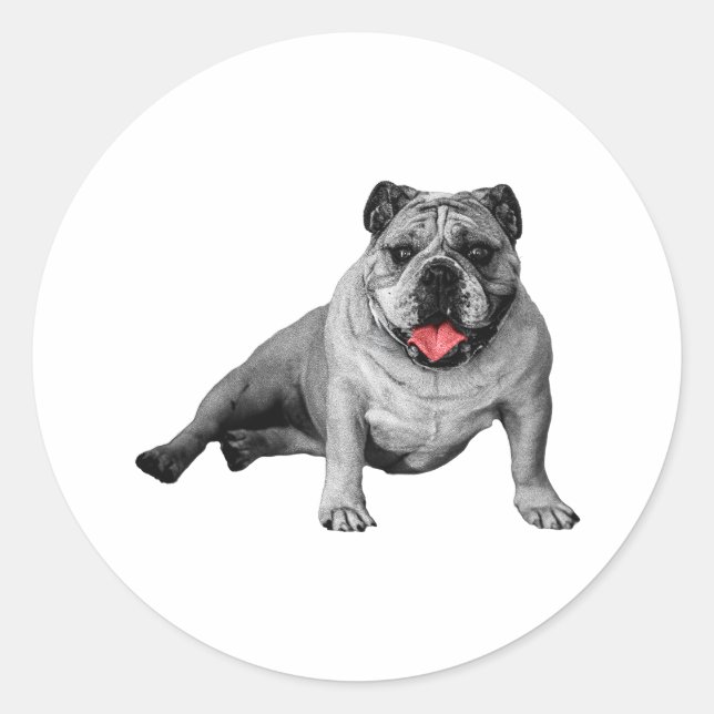 Red Accented Bulldog Sticker (Front)