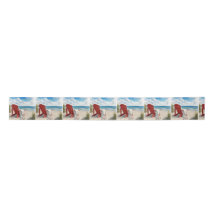 Red Adirondack Beach Chair with Flip-flops