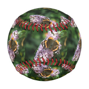 Red Admiral Butterfly and Buddleia Baseball