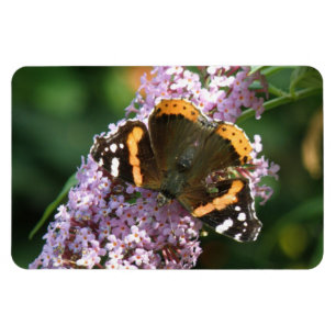 Red Admiral Butterfly and Buddleia Flexi Magnet