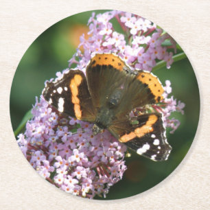 Red Admiral Butterfly and Buddleia Paper Coasters