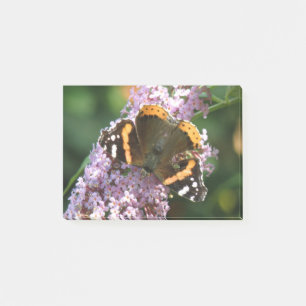 Red Admiral Butterfly and Buddleia Post it notes