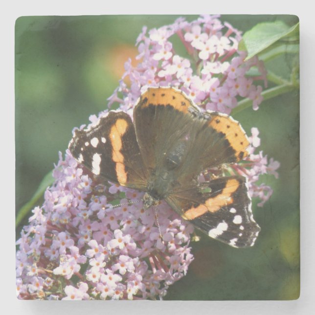 Red Admiral Butterfly and Buddleia Stone Coaster (Front)
