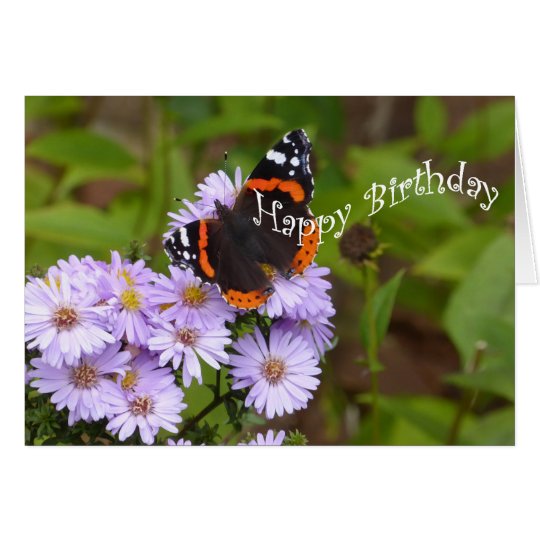 Red Admiral butterfly Card