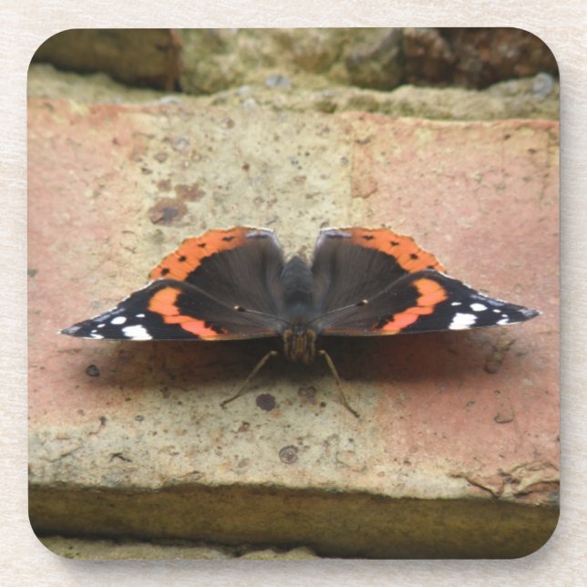 Red Admiral Butterfly Cork Coasters (Front)