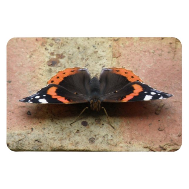 Red Admiral Butterfly Flexi Magnet (Horizontal)