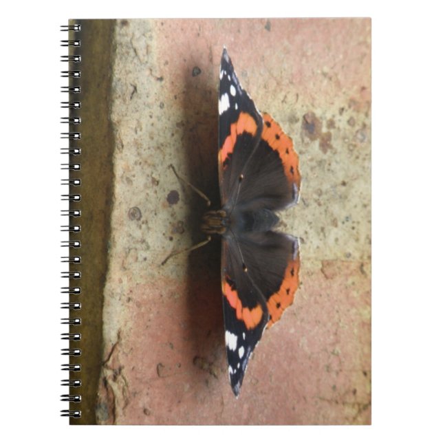 Red Admiral Butterfly Notebook (Front)