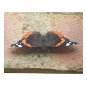 Red Admiral Butterfly Notepad