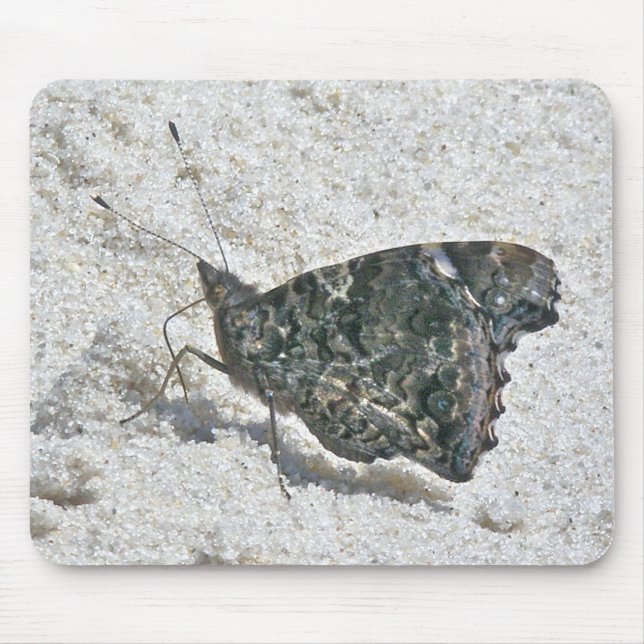 Red Admiral Butterfly on Beach Coordinating Items Mouse Mat (Front)