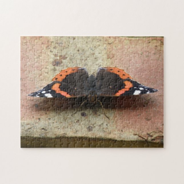 Red Admiral Butterfly Puzzle (Horizontal)