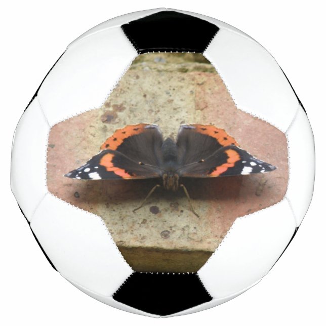 Red Admiral Butterfly Soccer Ball (Front)