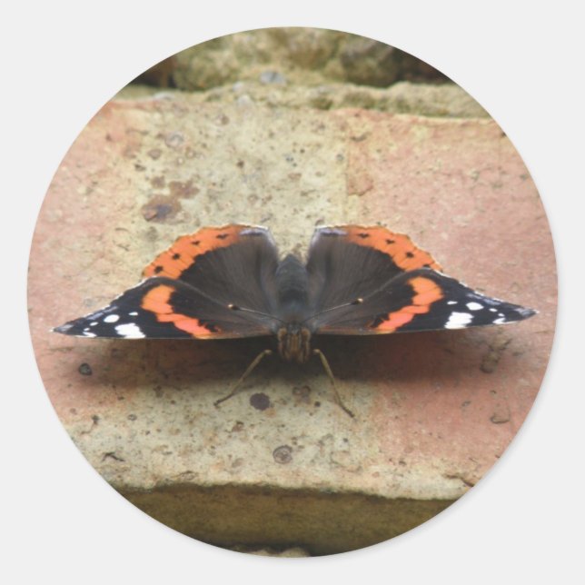 Red Admiral Butterfly Stickers (Front)