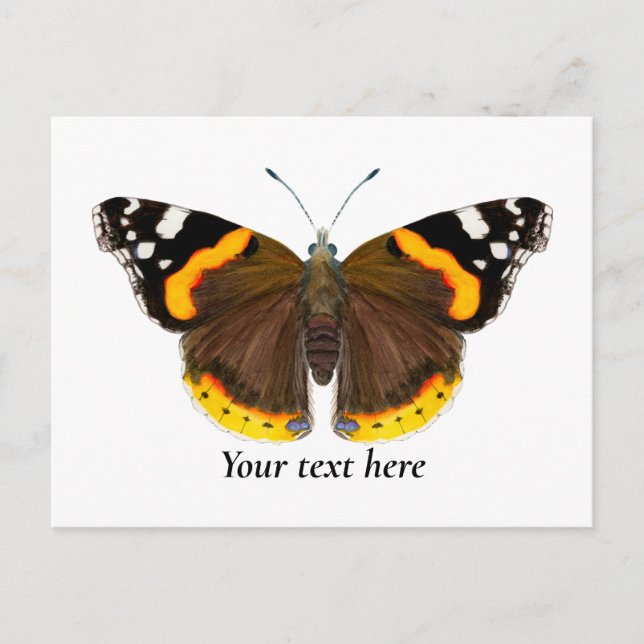 Red Admiral Butterfly Watercolor Art Postcard (Front)