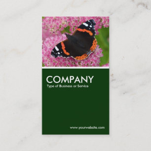 Red Admiral on Sedum (Autumn Joy) - Dark Green Business Card