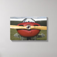 Red Aeroplane and Wooden Propeller