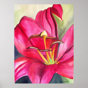 Red Alert Lily watercolor art flower painting Poster