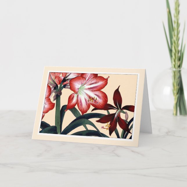 Red Amarylli, Botanicals Card - Customise Greeting (Front)