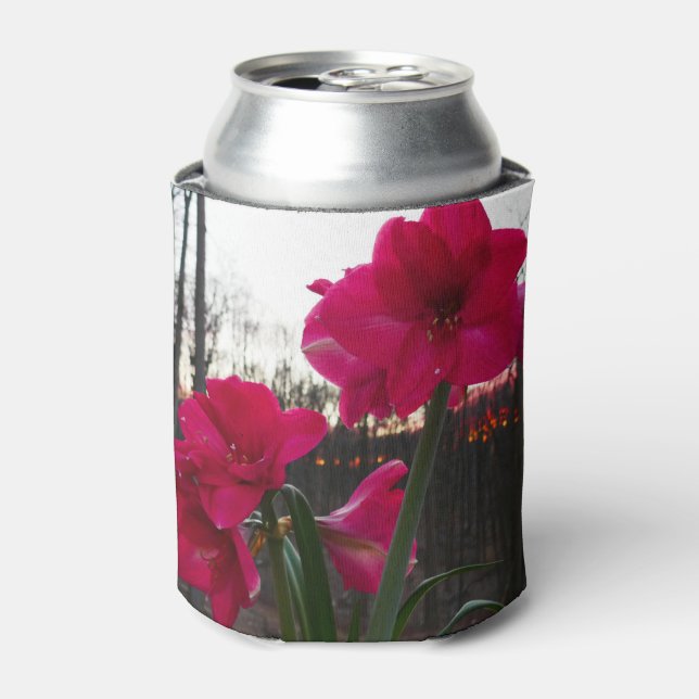 Red Amaryllis and Winter Sunrise Can Cooler (Can Front)
