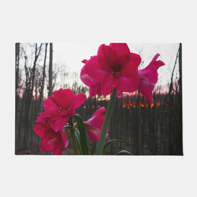 Red Amaryllis and Winter Sunrise Doormat (Front)