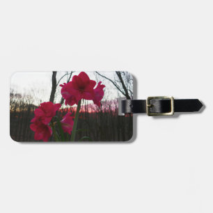 Red Amaryllis and Winter Sunrise Luggage Tag