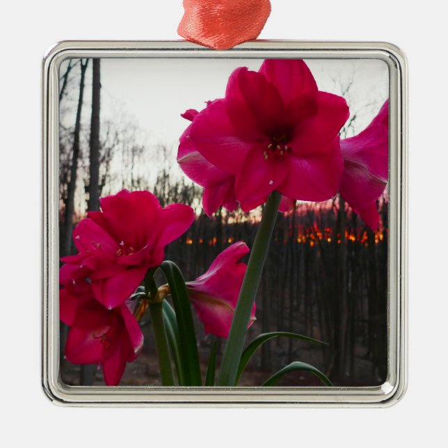 Red Amaryllis and Winter Sunrise Metal Tree Decoration (Front)