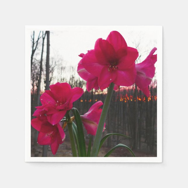 Red Amaryllis and Winter Sunrise Napkin (Front)