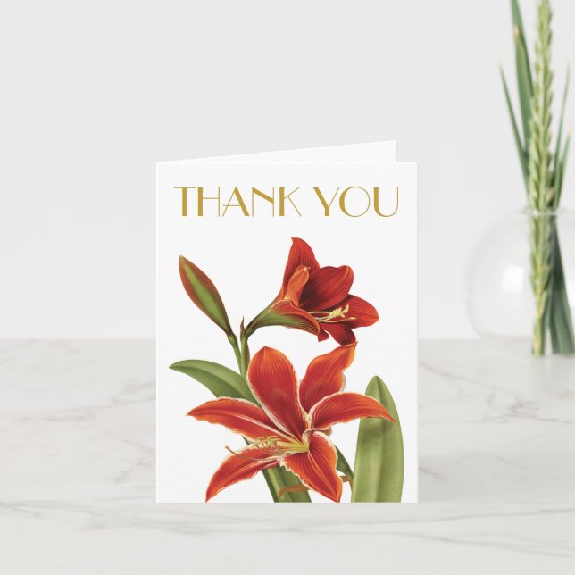 Red Amaryllis Christmas Flower Vintage Botanical Holiday Card (Front)